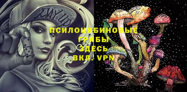 винт Алексеевка