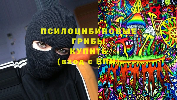 винт Алексеевка