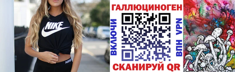 Псилоцибиновые грибы Cubensis  Томмот 
